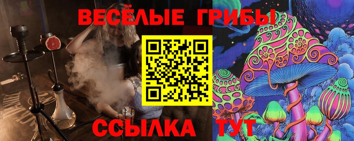 Псилоцибиновые грибы Psilocybine cubensis  Вход с VPN  Псилоцибиновые грибы MAGIC MUSHROOMS  Сердобск 